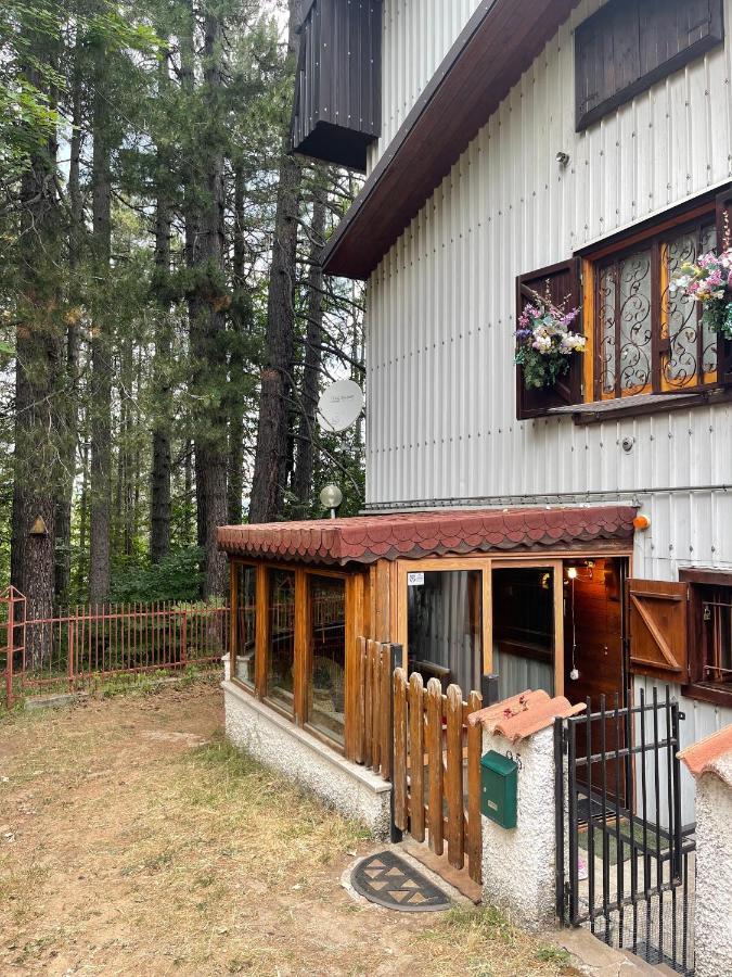 La Veranda Nella Neve - Camigliatello Silano Eksteriør bilde
