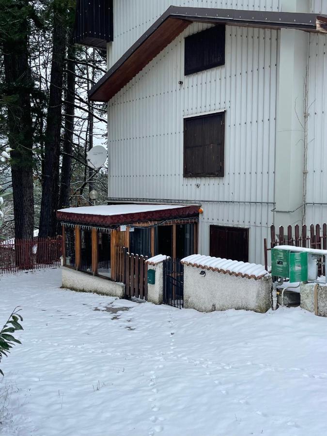 La Veranda Nella Neve - Camigliatello Silano Eksteriør bilde