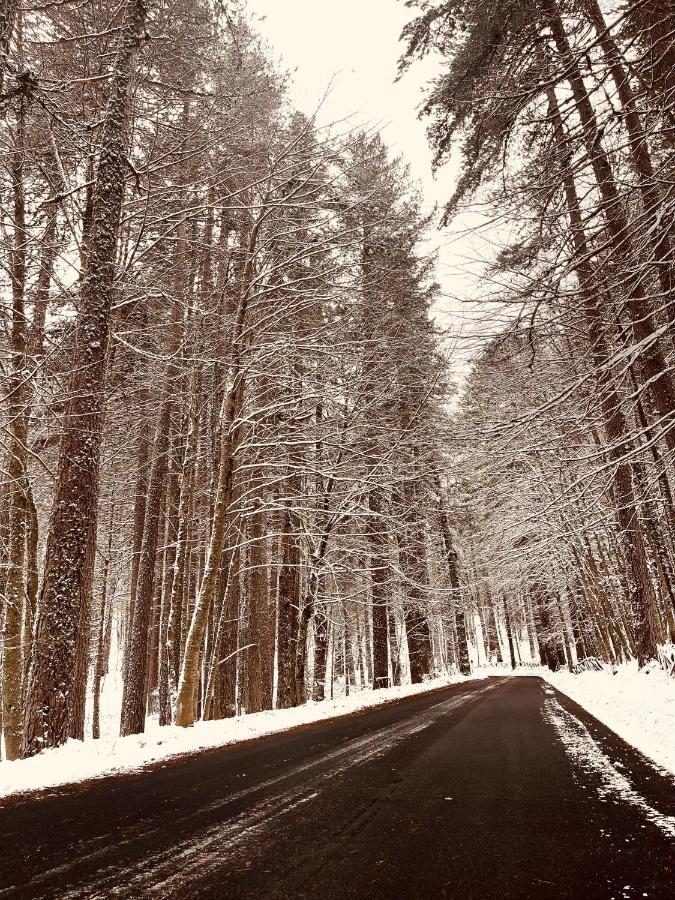 La Veranda Nella Neve - Camigliatello Silano Eksteriør bilde